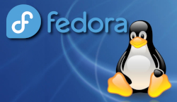 Win/Linux機へFedora KDE